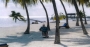 Beach sand, coconut palms & Islamorada-style chair